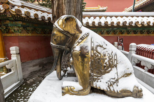 雪中的北京故宫御花园跪象