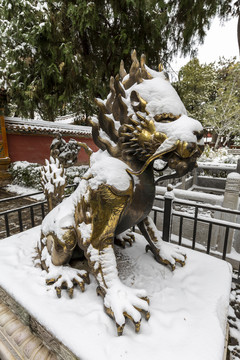 雪中的北京故宫御花园獬豸