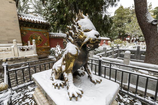 雪中的北京故宫御花园獬豸