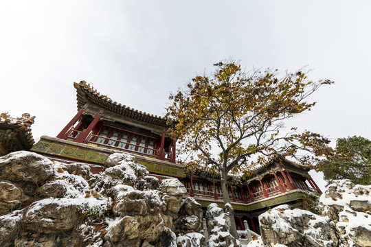 雪中的北京故宫御花园养性斋