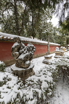 北京故宫御花园雪景