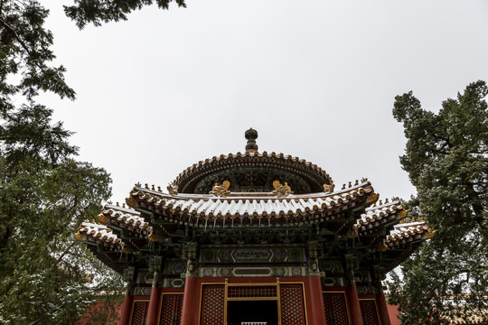 北京故宫御花园雪景