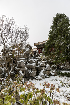 北京故宫御花园雪景