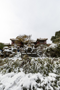 北京故宫御花园雪景