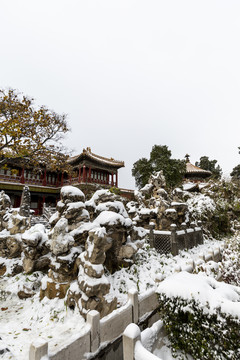 北京故宫御花园雪景