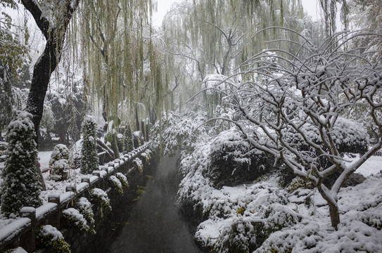 趵突泉公园雪景