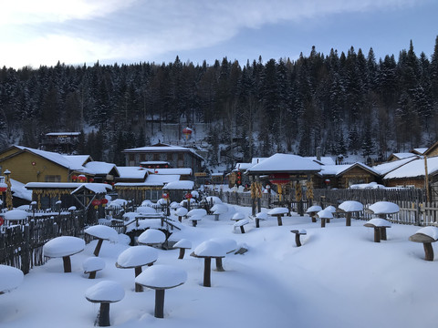 北方雪景