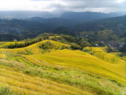 龙脊风景名胜区金坑红瑶梯田风光