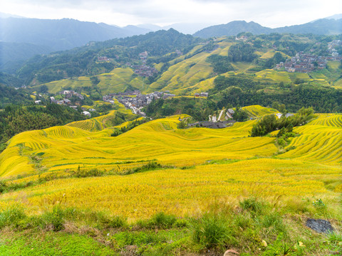 龙脊风景名胜区金坑红瑶梯田风光