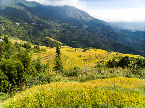 龙脊风景名胜区金坑红瑶梯田