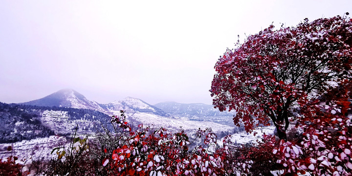 雪山红叶