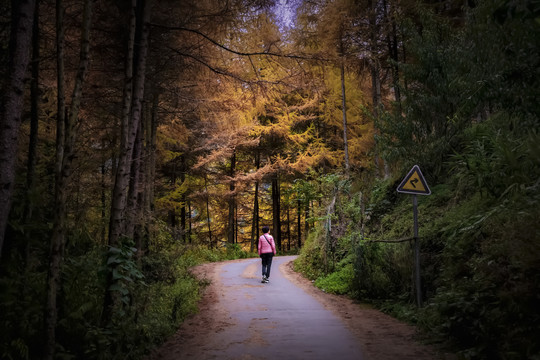 一个女人在秋天的森林里徒步