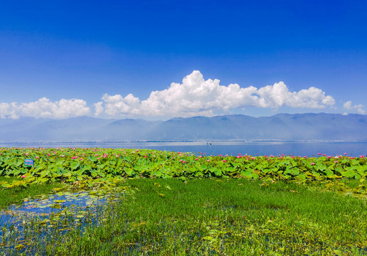 洱海