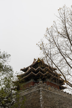 北京故宫角楼及城墙雪景