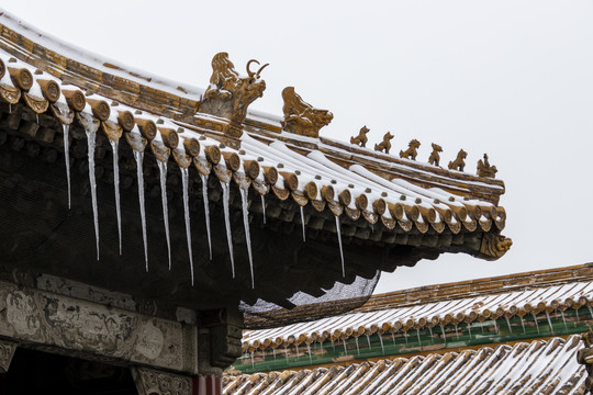 雪中的北京故宫脊兽