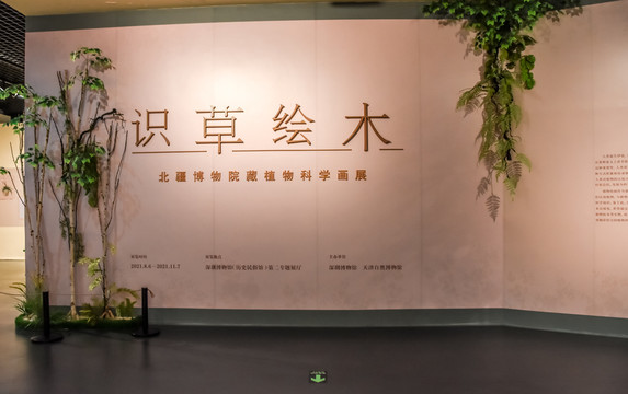 北疆博物院藏植物科学画展