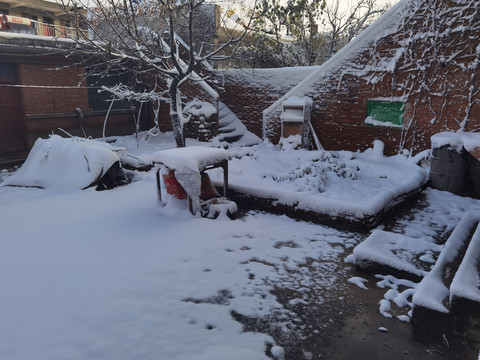 庭院雪景
