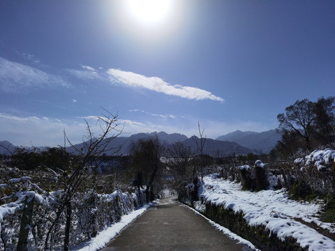 田园风雪