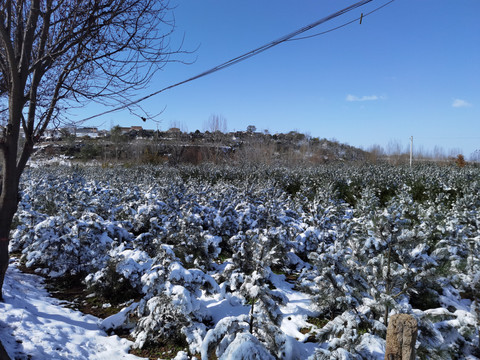 2021年第一场雪