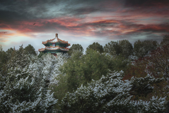 北京景山雪景