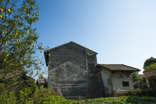 乡村风光