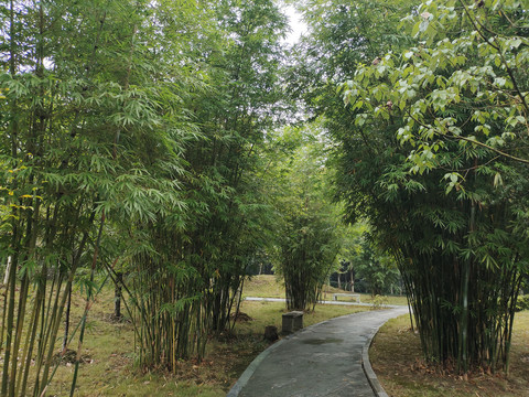 公园健康步道