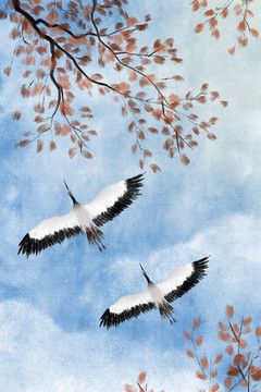 仰望天空飛過(guò)的鳥(niǎo)
