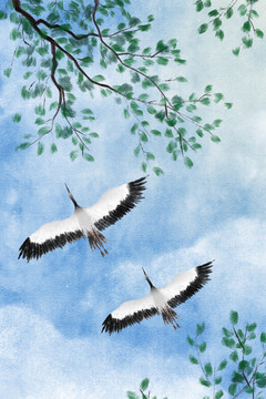 仰望天空飛過(guò)的鳥(niǎo)