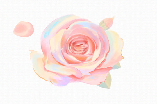 玫瑰鮮花素材