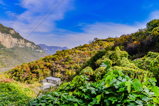 太行秋景