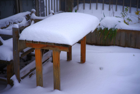 2021年冬北京初雪