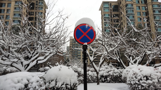 雪中美景