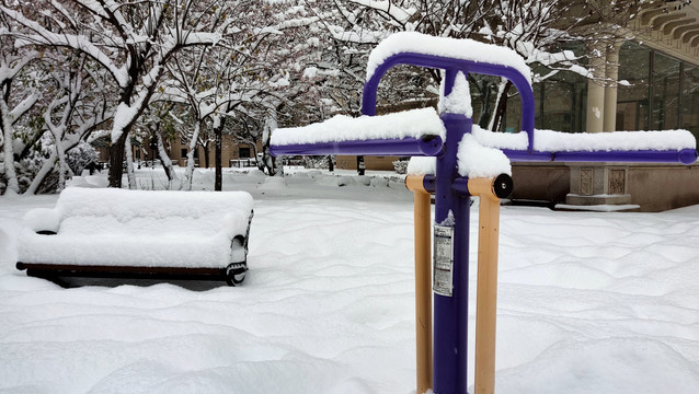 雪中美景