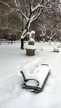 雪中美景