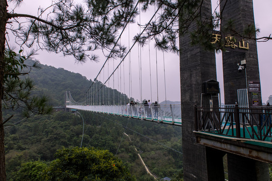 云浮新兴天露山