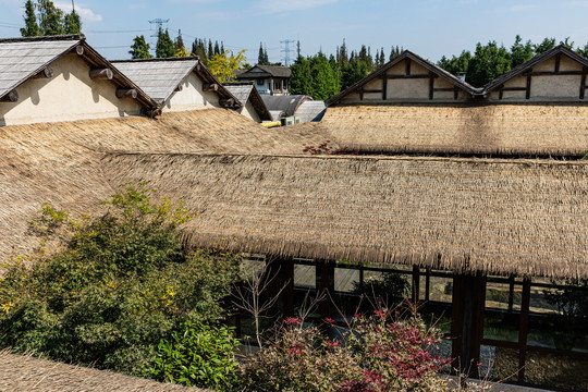 乌镇乌村乡村旅游