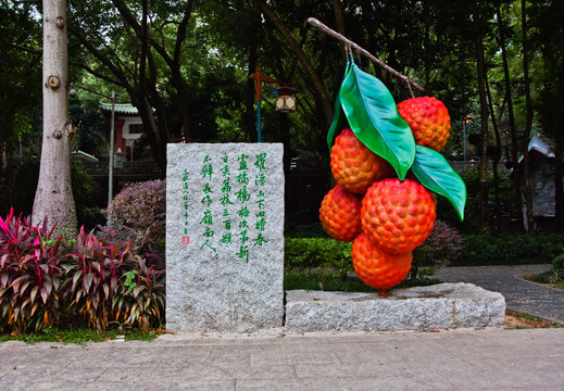 食荔枝