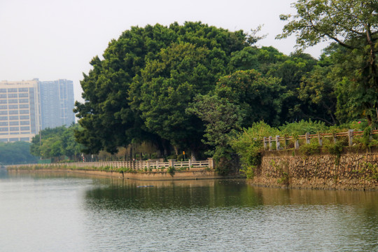 河景