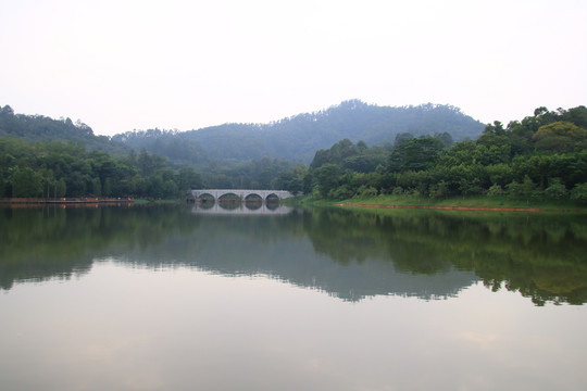 大夫山湖景