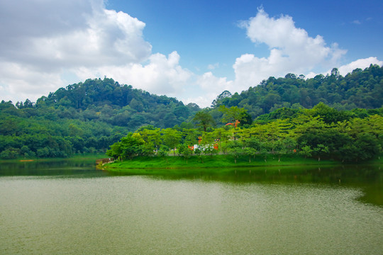 大夫山湖景