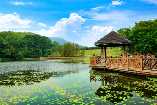 大夫山湖景