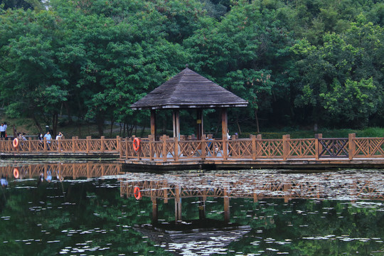 湖中棧道