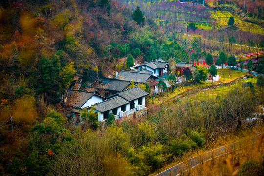 大山里的村子