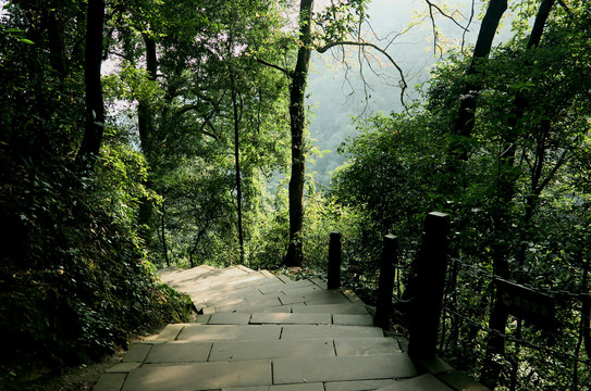 陡峭的山路