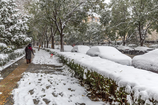 北京下起2021年度第一场雪