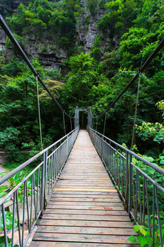 桂平龙潭国家森林公园吊桥