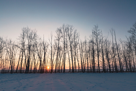 冬季树林草原雪原落日夕阳