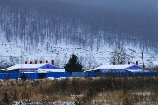 大兴安岭林场山村雪景