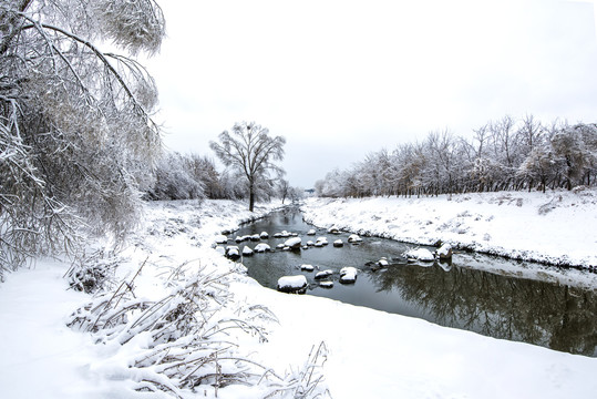 雪景森林