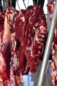 牛肉